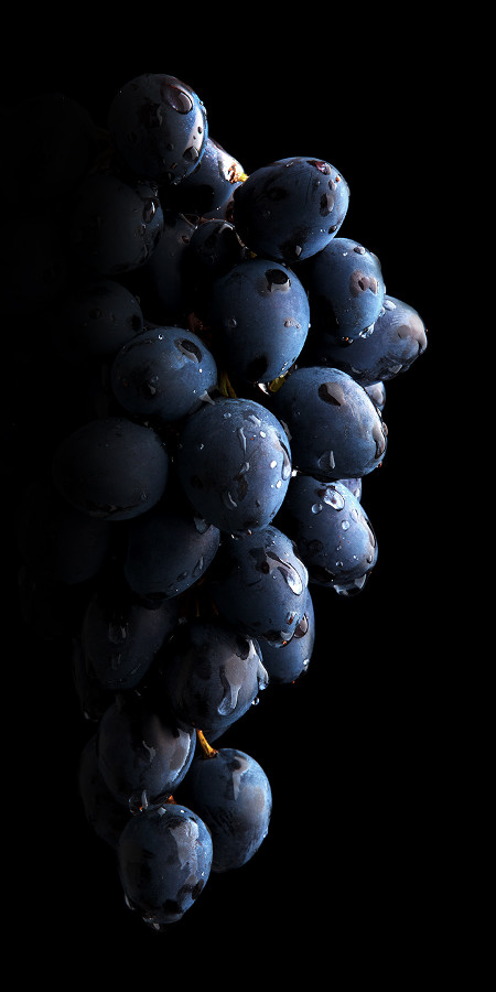 uva nera